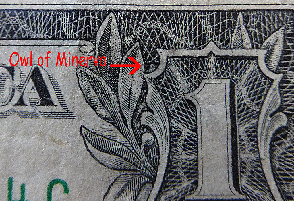 Sova na jednodolarové bankovce